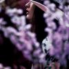 马青写真1