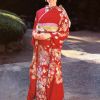 日本女星井上晴美写真图