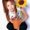 日本流行女歌手仓木麻衣写真图