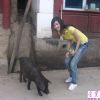 长发漂漂的大美女外出旅游的自拍组图