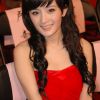 大陆电视女星杨幂可爱写真图