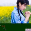 三月菜花遍地开