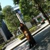 五星级性感美女