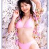 井川遥最新诱惑写真