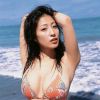 佐藤寬子的無盡嫵媚