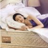 仲婉婷-第一辑