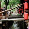 刘诗涵-第五辑