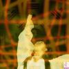 刘诗涵-第六辑