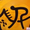 史杨杰代-第三辑