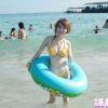 嘉依 1。1-第一辑