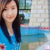 小龙女彤彤-第三辑