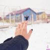 暖暖-第一辑