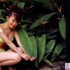 可爱的美女岡部玲子