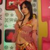 台灣模特－毛毛妞兒