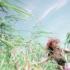 大自然的美丽少女