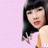 性感的桌面美女图集