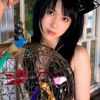 性感美猫