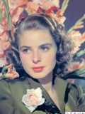 瑞典女演员英格丽·褒曼Ingrid_Bergman_写真图片